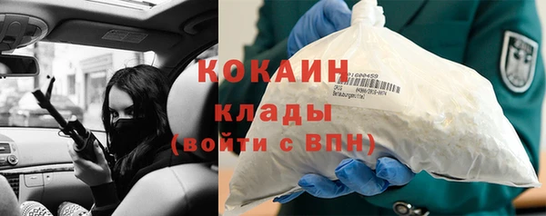 гашик Верея
