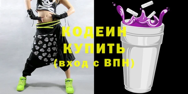гашик Верея