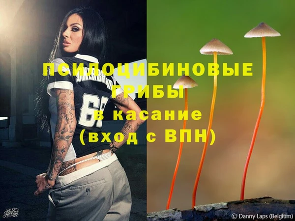 амф Богданович
