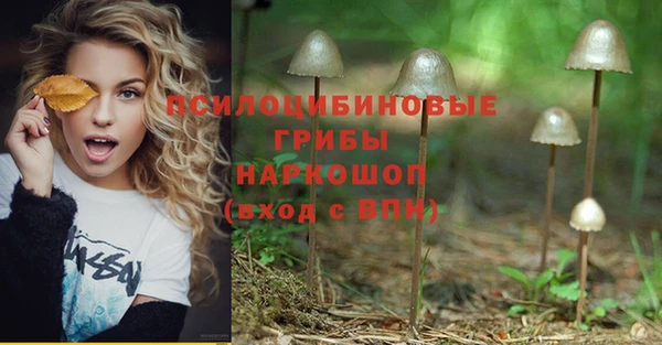ешки Верхний Тагил