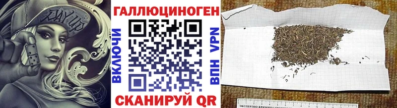 hydra   Вышний Волочёк  Псилоцибиновые грибы мухоморы 